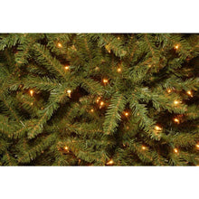 10 ft. Pre-Lit Dunhill Fir Hinged Artificial Christmas Tree with Clear Lights