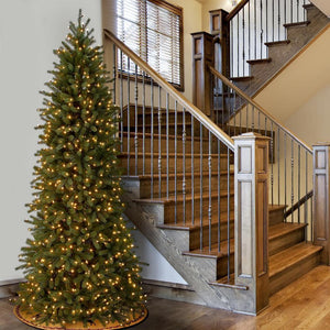 10 ft. Jersey Fraser Fir Pencil Slim Tree with Clear Lights