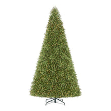 12 ft Dunhill Fir Incandescent Christmas Tree