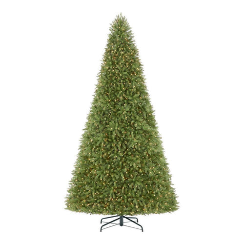 12 ft Dunhill Fir Incandescent Christmas Tree