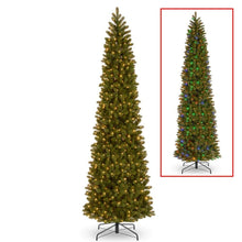 12 ft. Downswept Douglas(R) Pencil Slim Fir Tree with Dual Color LED Lights