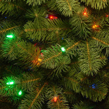 12 ft. Downswept Douglas(R) Pencil Slim Fir Tree with Dual Color LED Lights