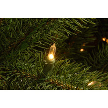 10 ft. Downswept Douglas Fir Artificial Christmas Tree with Dual Color LED Lights