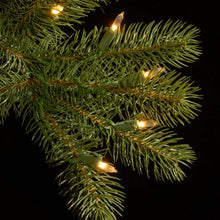 10 ft. Downswept Douglas Fir Artificial Christmas Tree with Dual Color LED Lights